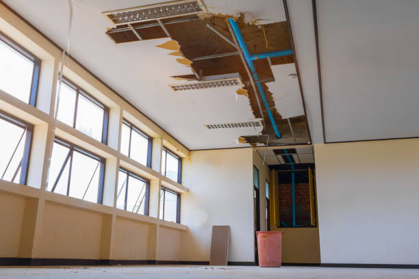 Best Water damage repair service  in Bethpage, NY