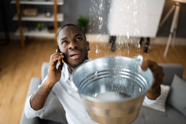 Best Sewage cleanup and water damage restoration  in Bethpage, NY