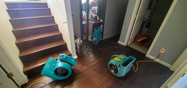 Water damage restoration mold remediation in Bethpage, NY