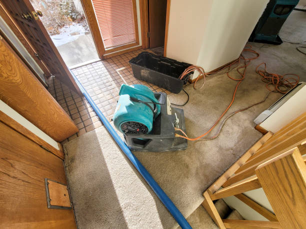 Best Local water damage restoration  in Bethpage, NY