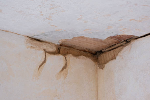 Best Ceiling water damage repair  in Bethpage, NY