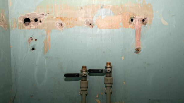 Best Fire Damage Restoration  in Bethpage, NY