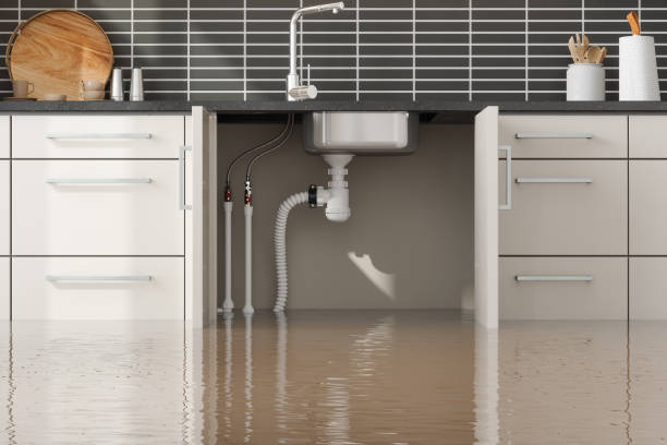 Best Basement water damage restoration  in Bethpage, NY