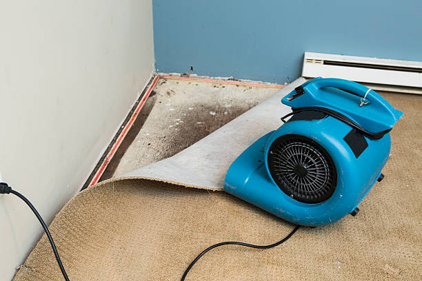 Best Residential water damage restoration  in Bethpage, NY